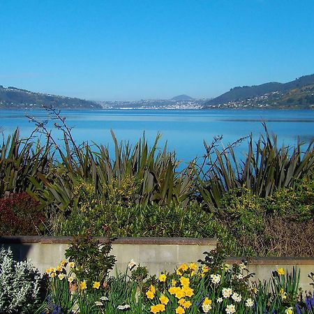 דירות Macandrew Bay Arts Content Harbour View מראה חיצוני תמונה