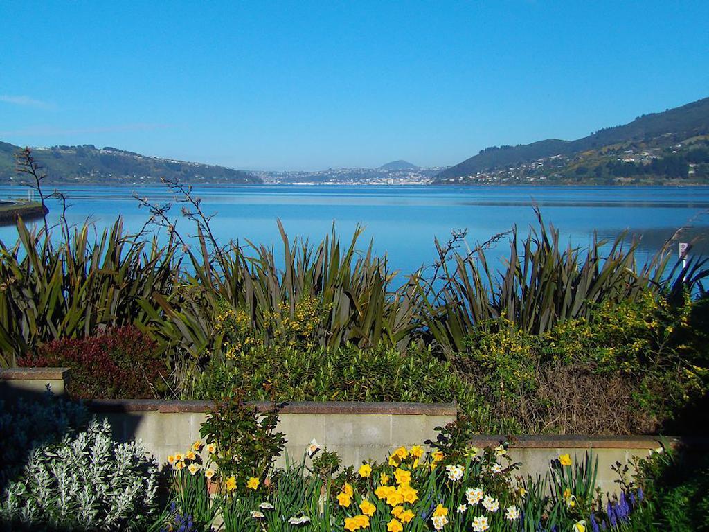 דירות Macandrew Bay Arts Content Harbour View מראה חיצוני תמונה