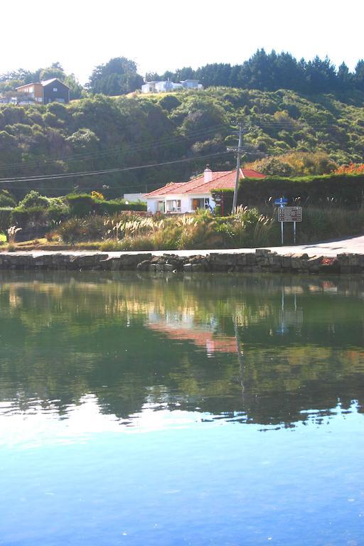 דירות Macandrew Bay Arts Content Harbour View מראה חיצוני תמונה