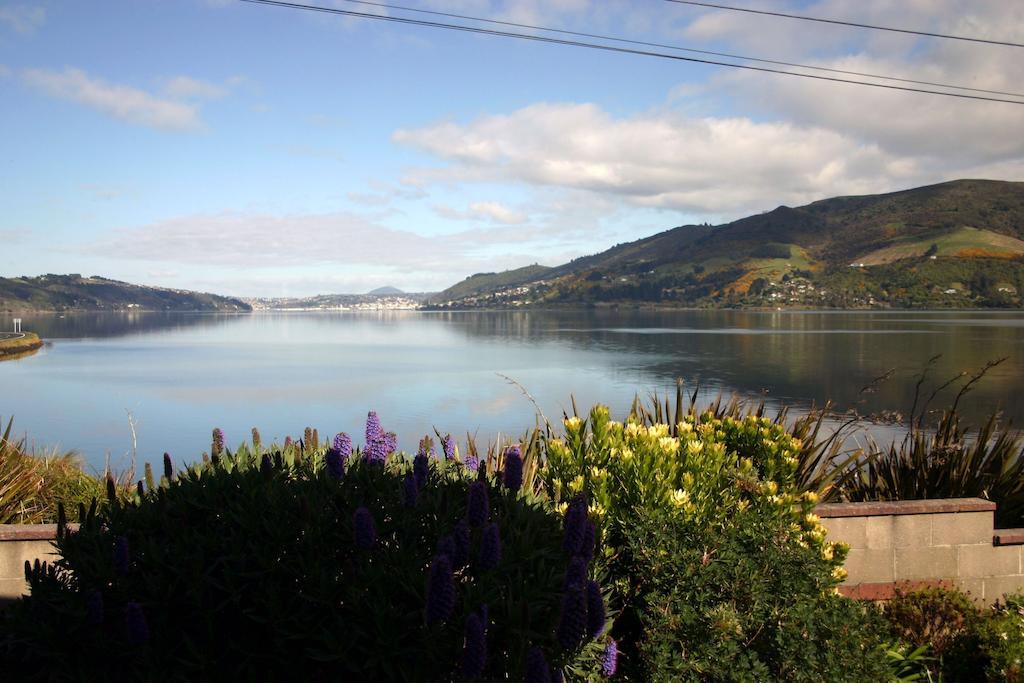 דירות Macandrew Bay Arts Content Harbour View מראה חיצוני תמונה